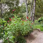 Quinta Da Bouca - * Paços de Gaiolo