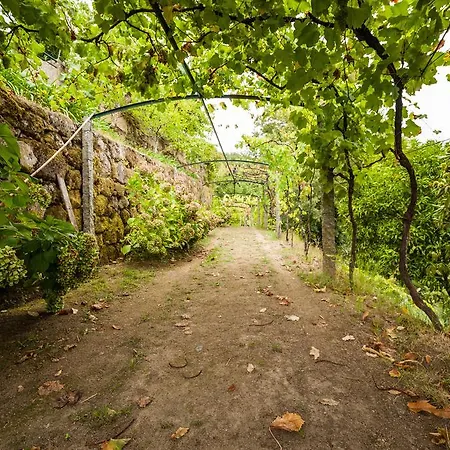 Vakantieboerderij Quinta Da Bouca - Pacos de Gaiolo