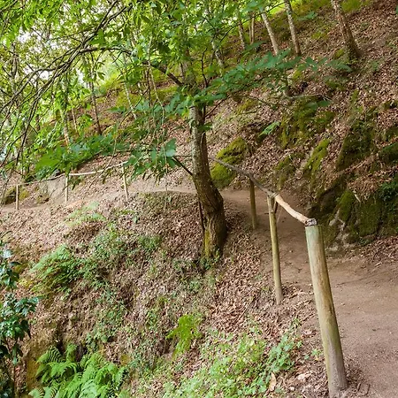 Quinta Da Bouca - Vakantieboerderij *