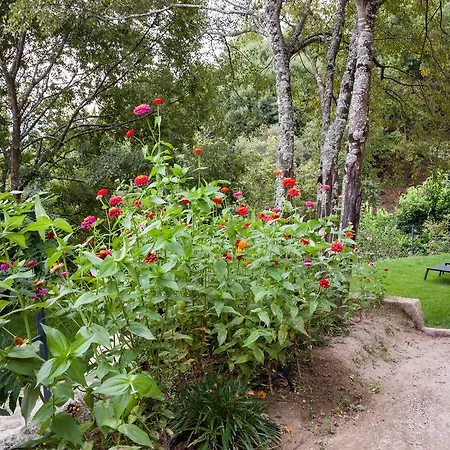 Quinta Da Bouca - * Pacos de Gaiolo