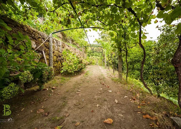 Farma Quinta Da Bouca - Pacos de Gaiolo