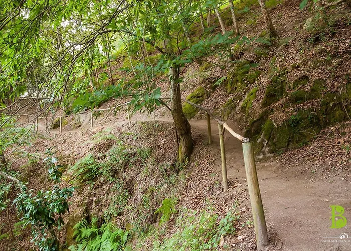 Quinta Da Bouca - ファームステイ *