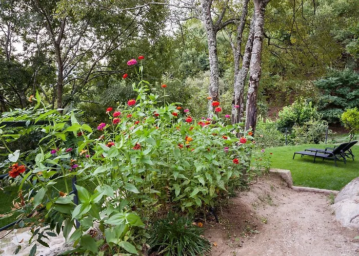 Quinta Da Bouca - * Pacos de Gaiolo